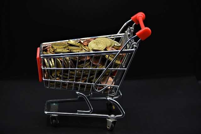 Turning Passion into Profit: Successful Gambling Ventures