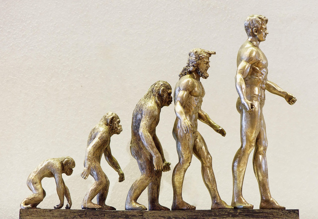 betting evolution