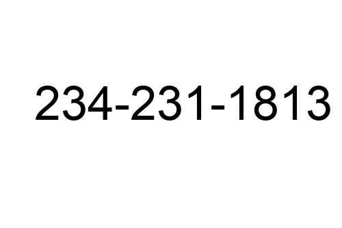 234-231-1813