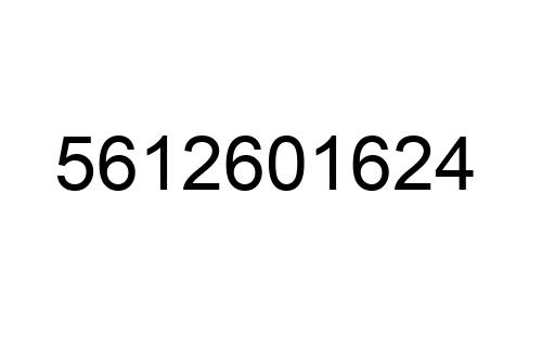 5612601624
