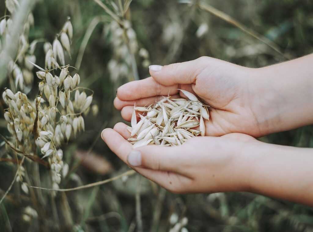 aesthetic tumblr aesthetic hand holding flower