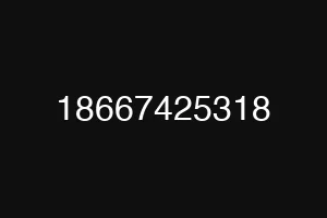 18667425318