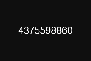 4375598860