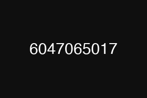 6047065017