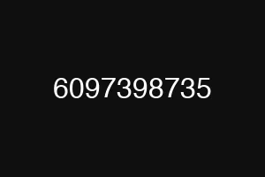 6097398735