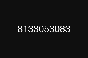 8133053083