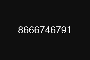 8666746791